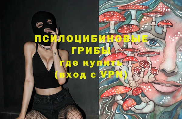 дживик Остров