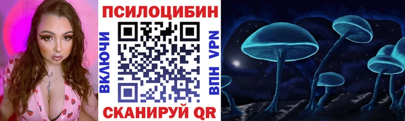 darknet состав Знаменск Псилоцибиновые грибы Cubensis